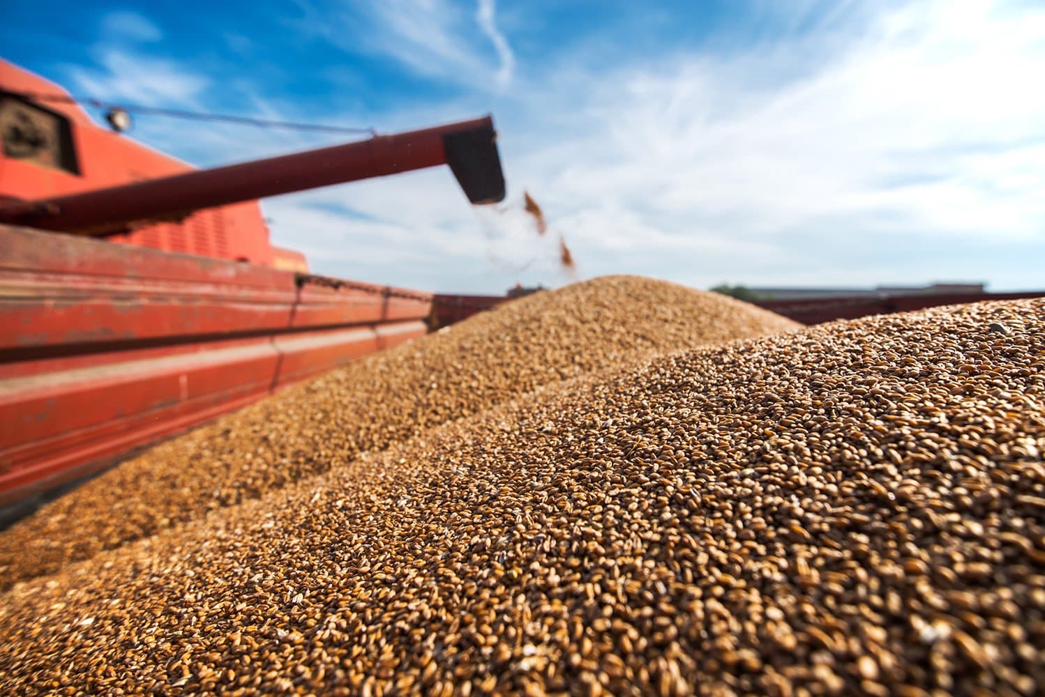 Oportunidades de exportação para o Agro Brasileiro no Alibaba