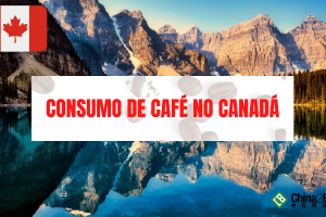 consumo de café no canadá