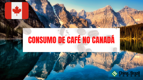 consumo de café no canadá