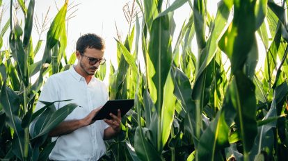 Produtores brasileiros