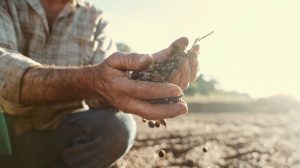 Produtos brasileiros em alta