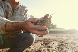 Produtos brasileiros em alta